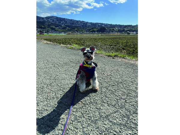 卒業生と卒業犬で卒業旅行♪